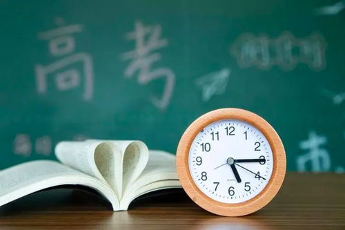 数字烙印，高考分数查询背后的命运分野