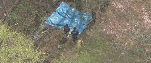 日本华人夫妇惨死家中，监控拍下最后回家画面