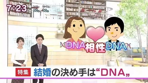 被拒相亲遭家人暴力，婚恋自主何去何从？