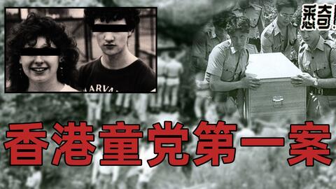 谷开来案，红颜权贵的罪罚警示录