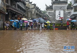 雨打凤凰，古城被淹背后的文化韧性考验