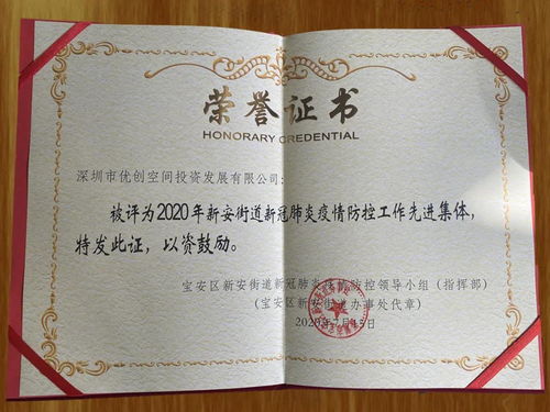网络彩虹，中国性少数群体的数字生存空间重构