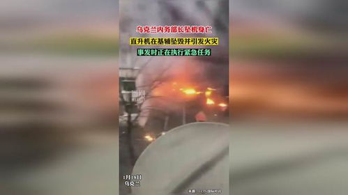 乌克兰内务部长坠机遇难，一场本可避免的悲剧？