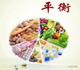 烧菜网，数字美食指南与社区厨房新纪元