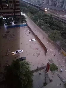 重庆暴雨夜酒店地板漂浮惊魂