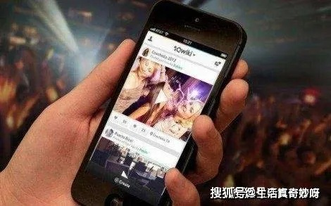 网络迷途，色情网站搜索热背后的隐忧与警示