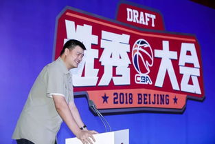 2013吉林高考状元，光环背后的奋斗与时代印记