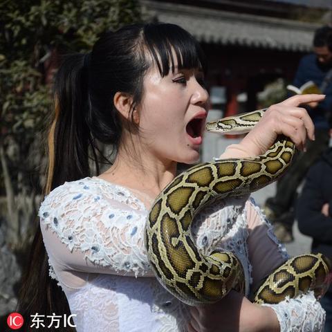 警惕！女子表演蟒蛇亲吻遭遇意外袭击事件