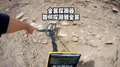 金属探测器能否探测到手机？