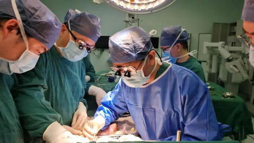 重庆完成首例成人亲体辅助肝移植手术，生命的新希望启程